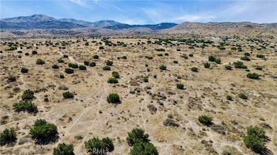 0 Vic Ave V Barrel Springs unit DW25188619, Palmdale, CA - photo 3