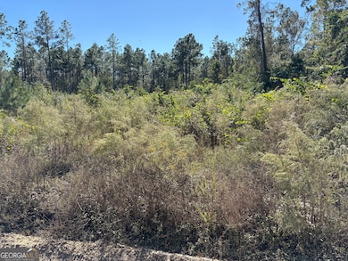 0 Mincey Rd unit 10654361, Brooklet, GA 30415 - photo 3