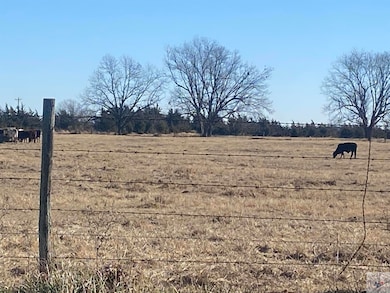 0 Fm 1840 unit 116789, Dekalb, TX 75559 - photo 4