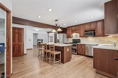 3901 Ellendale Rd, Chagrin Falls, OH 44022 - photo 5