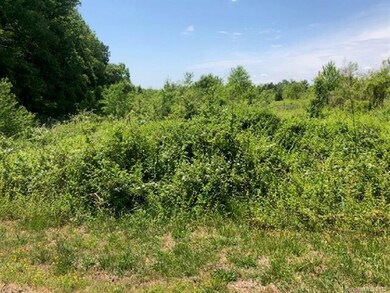 #48 Crandell Dr unit 48, Crouse, NC 28033 - photo 4