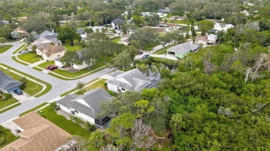 1036 Lake Avoca Dr, Tarpon Springs, FL 34689 - photo 7