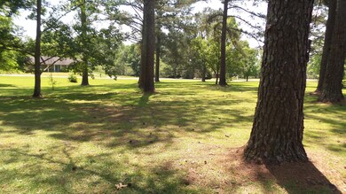 Large Yard