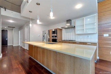 1620 Little Raven St unit 103, Denver, CO 80202 - photo 3