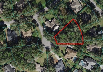 22 SW 191st Ave, Dunnellon, FL 34432 - photo 3