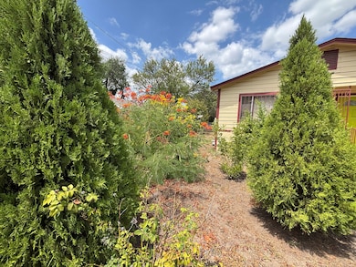 147 Wainwright St, San Antonio, TX 78211 - photo 2