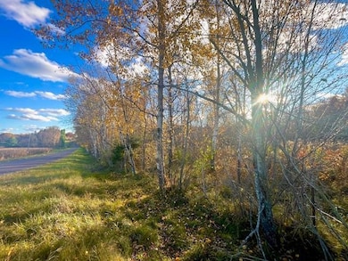 Lot 3 320th St, Forest Township, WI 54005 - photo 2