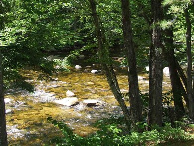 156 Deer Park Dr unit 132A, Woodstock, NH 03262 - photo 6