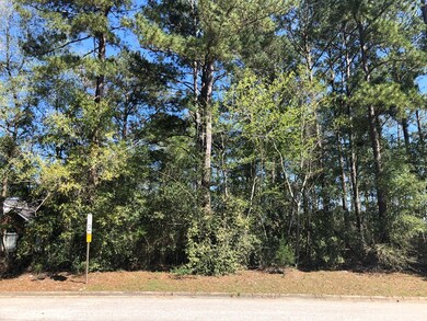 4460 Flowers Chapel Rd, Dothan, AL 36305 - photo 2