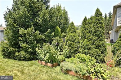 5302 Hever Way, Frederick, MD 21703 - photo 4