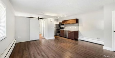 Living room and kitchen