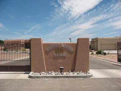 2825 Brittlebrush Dr, Farmington, NM 87402 - photo 7