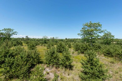 12 Paddock Rd, Oak Bluffs, MA 02568 - photo 3