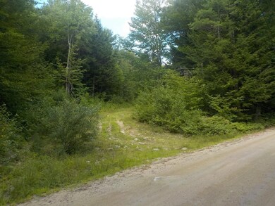 Lot 1 Straits Rd, New Hampton, NH 03256 - photo 3