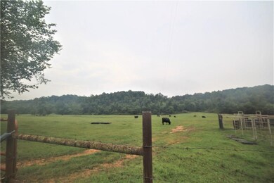 52.36 Acres Butler Rd, Siloam Springs, AR 72761 - photo 6