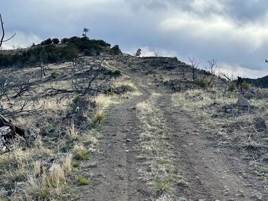 Looking back toward tower