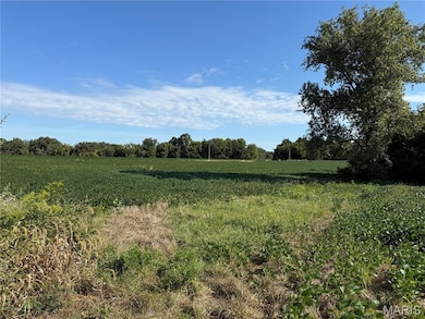 14.8 ac 6120 Kk Rd, Waterloo, IL 62298 - photo 4