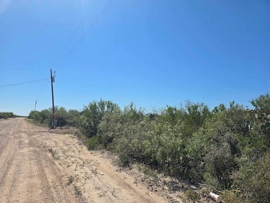 0 Abst 1293 Sur 1739 unit 20254520, Laredo, TX 78043 - photo 4