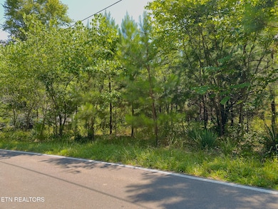 0 Lillydale Rd unit 1308220, Byrdstown, TN 38549 - photo 2