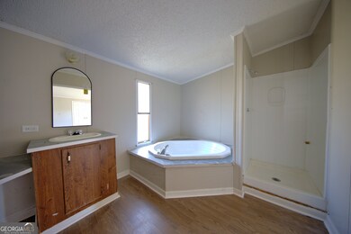 4702 Georgia 65, Pelham, GA 31779 - photo 5