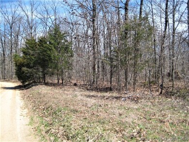 7+/- acres nice land along Leaning Tree Rd