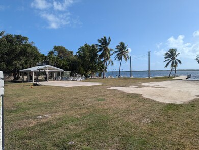 PXL_20250213_154545393