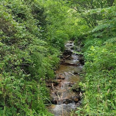 17 Lost Hollow Rd, Burnsville, NC 28714 - photo 3