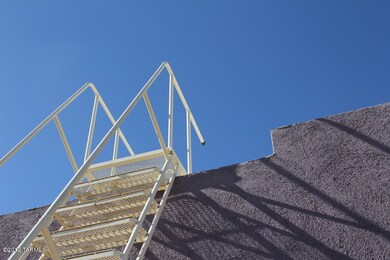 ladder