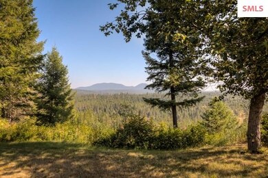 7993 E Forest View Rd, Athol, ID 83801 - photo 7