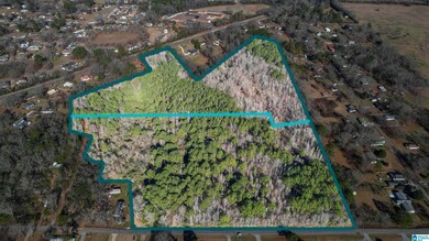 0 Marble City Heights Cir unit 21405884, Sylacauga, AL 35150 - photo 3