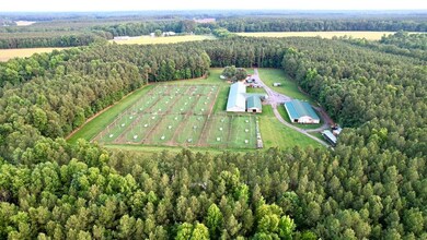 19003 Comans Well Rd, Yale, VA 23897 - photo 6