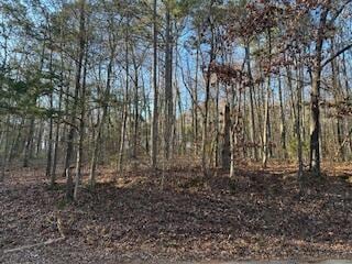 1887 Dogwood Dr, Chattanooga, TN 37406 - photo 2