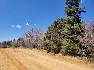 Subdivision Road