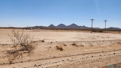 00 Columbus Hwy Hwy SE, Deming, NM 88030 - photo 6
