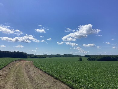 0 Swor Rd, Springville, TN 38256 - photo 4