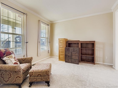 10036 Brisbane Ln, Highlands Ranch, CO 80130 - photo 4