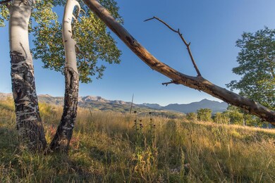 IMG_0687