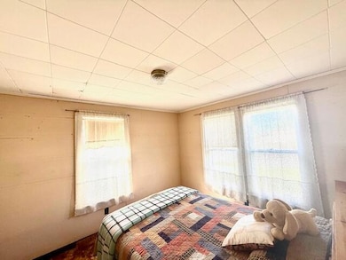 307 S Winnebago St, Caledonia, MN 55921 - photo 7