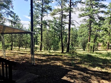 View From Back