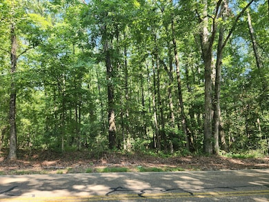 4.35ac State Park Rd, Tupelo, MS 38804 - photo 4