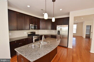 25107 Green Mountain Terrace, Aldie, VA 20105 - photo 7