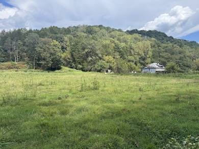 0 Hurricane Branch Ln unit RTC2988788, Gainesboro, TN 38562 - photo 2