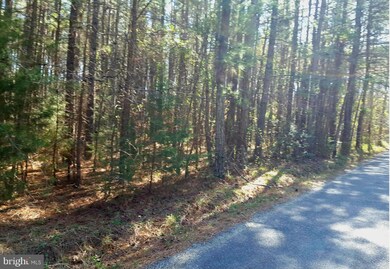 0 Mt Airy Dr unit 1000142911, Ruther Glen, VA 22546 - photo 2