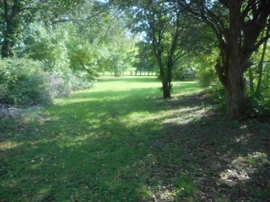 Back yard area, some trees, mostly level