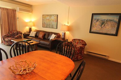 48 Cooper Memorial Dr unit 202, Lincoln, NH 03251 - photo 6