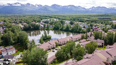 DJI_0781