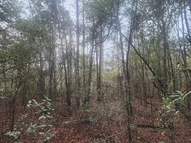 Old Jackson HWY 3