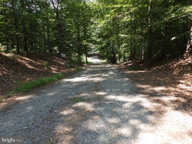 12640 Mill Rd, Fredericksburg, VA 22407 - photo 4