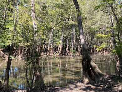 0 Reynolds Rd, Tensaw, AL 36579 - photo 3