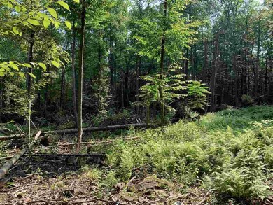 Lot 3 TBD Cherry Hill Rd, Stone Ridge, NY 12484 - photo 7